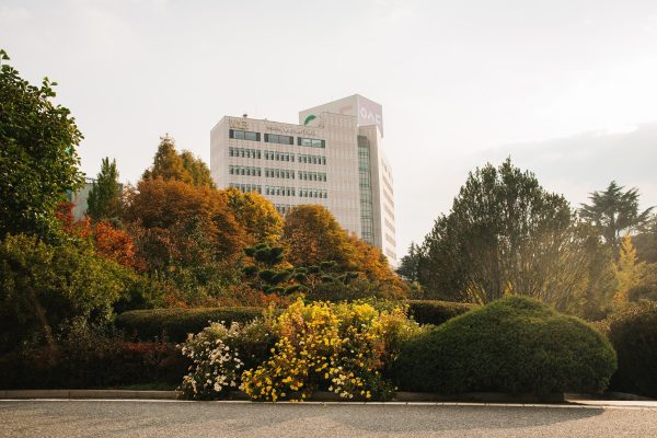 tổng quan Đại học woosong