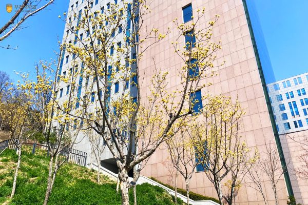 Đại học Bucheon